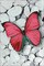 Pink Butterfly CS054 7.9 x 11.8 inches Crafting Spark Diamond Painting Kit